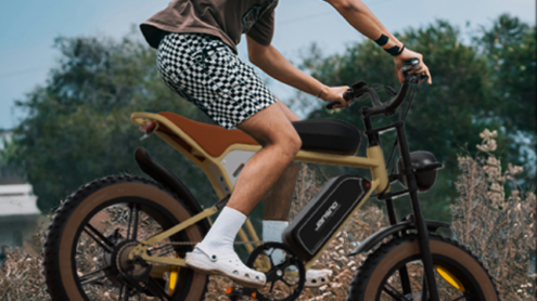 bicicleta eléctrica, Fat Tire, MTB,