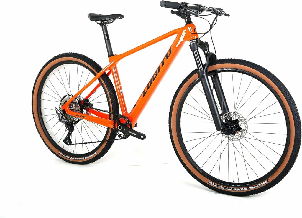 Una de las mejores bicicletas de montaña por menos de 1000 euros Lobito MT10_2